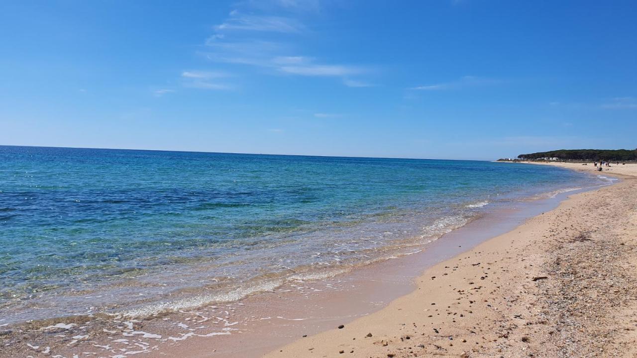 Agriturismo Corte Degli Ulivi Capoterra Eksteriør billede
