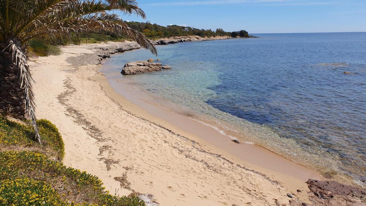 Agriturismo Corte Degli Ulivi Capoterra Eksteriør billede