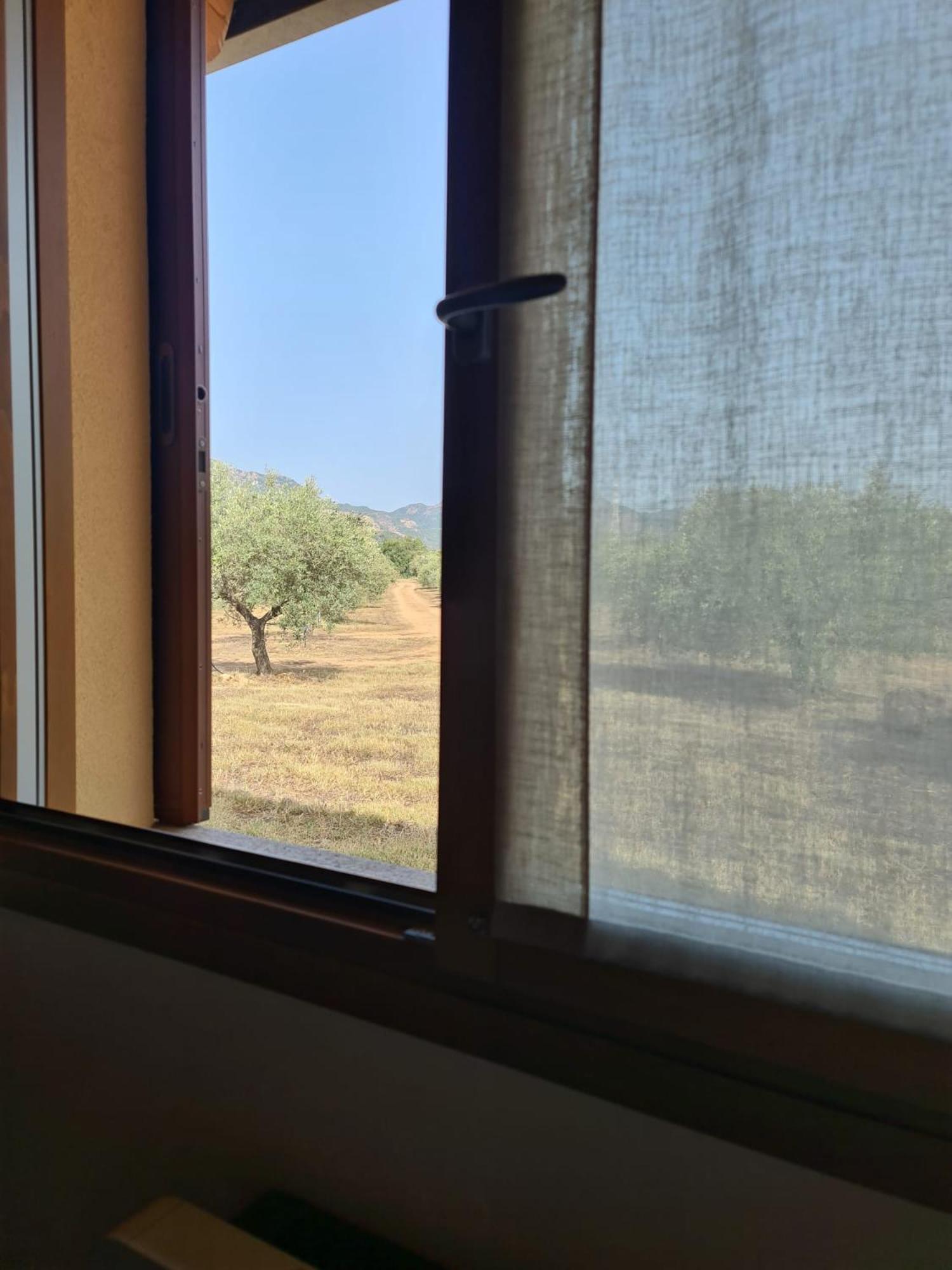 Agriturismo Corte Degli Ulivi Capoterra Eksteriør billede