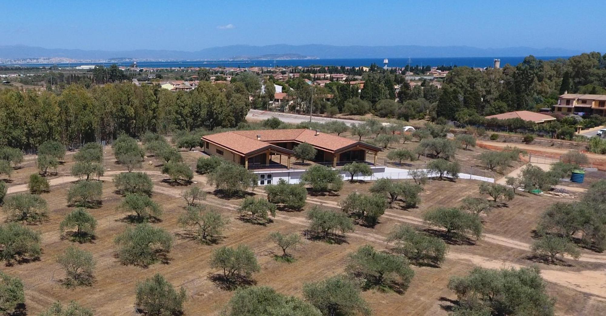 Agriturismo Corte Degli Ulivi Capoterra Eksteriør billede